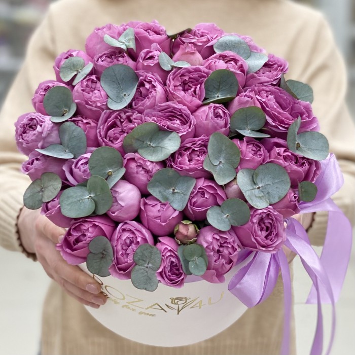 Мисти Баблс с эвкалиптом в коробке